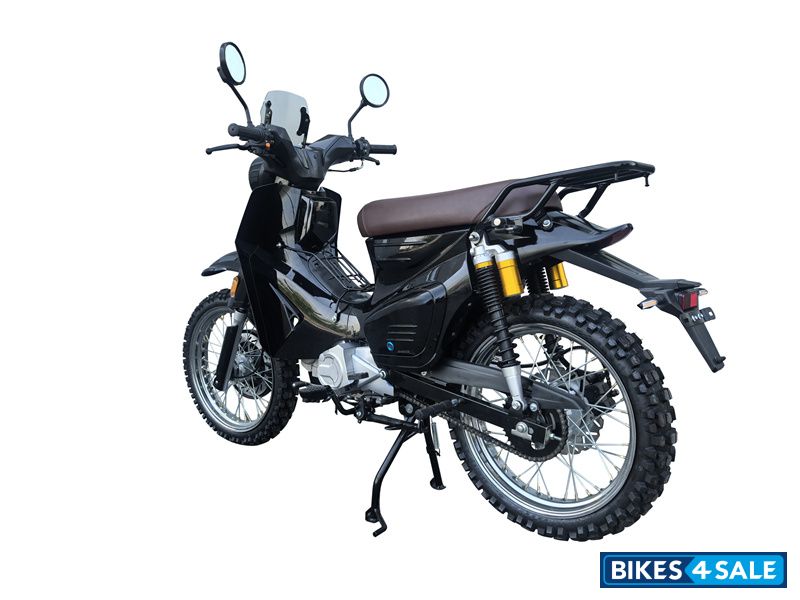 YinXiang Young Animal