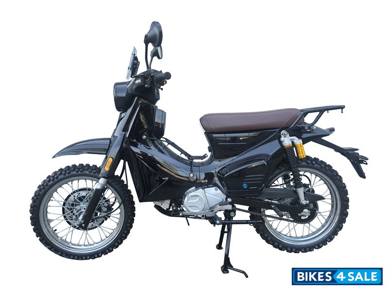 YinXiang Young Animal