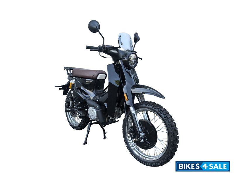 YinXiang Young Animal