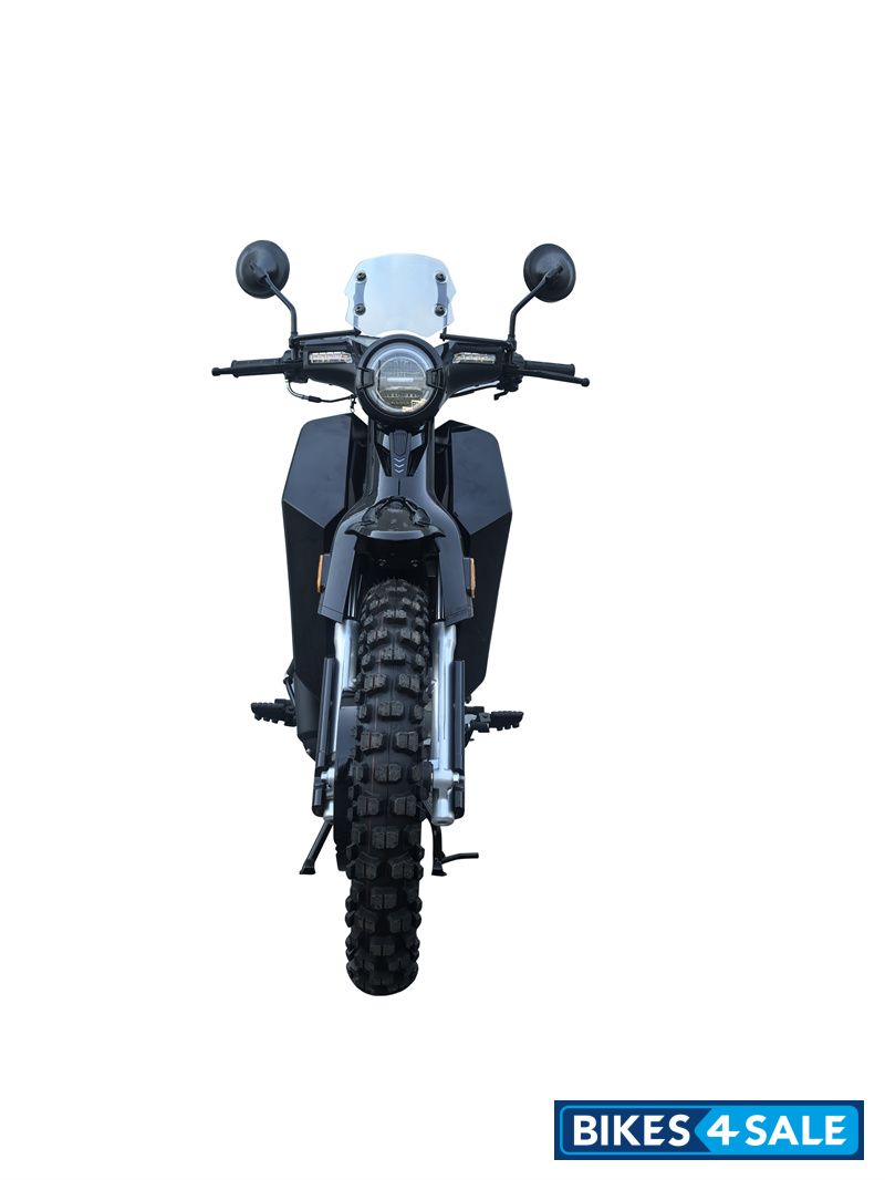 YinXiang Young Animal